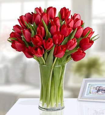 Fifty Red Tulips — Flowchow flower delivery UAE